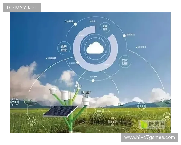 布伦特福德俱乐部发展历程与未来战略全面解析